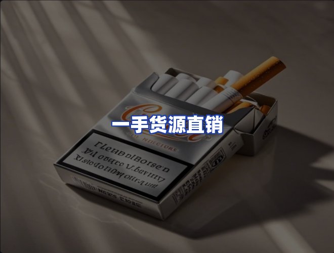 专业团队